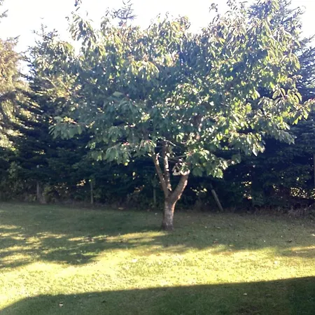 4 Star In Vaeggerlose * Bøtø By